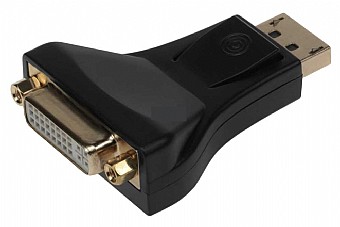 ���� DisplayPort ��� �-DVI ����