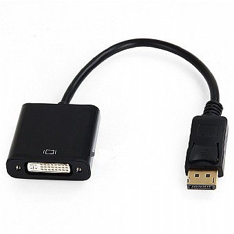 ���� DVI ���� �-DisplayPort ���