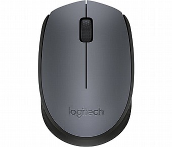 ���� ������ ���� ���� Logitech M170