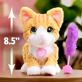 ���� ��� ������ ������������� - Fur real