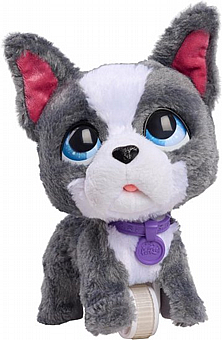 ���� ����� ������ - Fur real