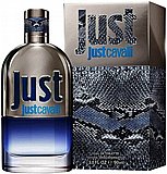 בושם לגבר Roberto Cavalli Just Cavalli E.D.T 90ml בושם לגבר Roberto Cavalli Just Cavalli E.D.T 90ml