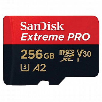 ����� ������ Sandisk Extreme Pro 256GB 200Mb/s SDSQXCZ-256G