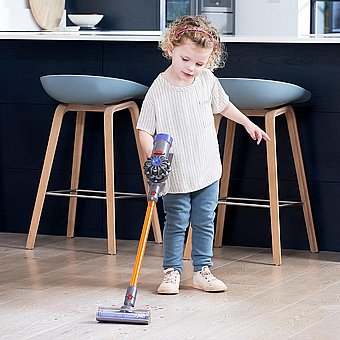 ���� ��� ������ Dyson ���� Casdon