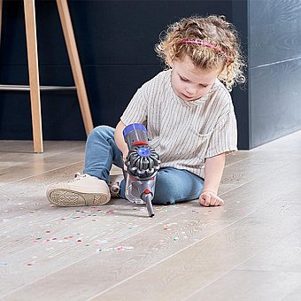 ���� ��� ������ Dyson ���� Casdon