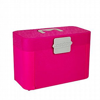 ���� ����� ����������� ������ Casdon Ultimate Styling Case