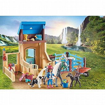 ���� ����� �� ������ ������ Playmobil 71353