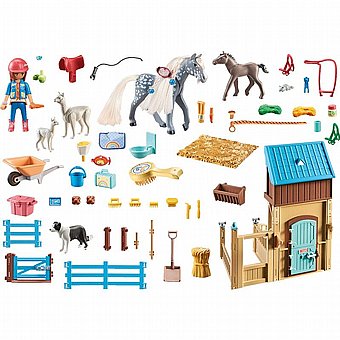 ���� ����� �� ������ ������ Playmobil 71353