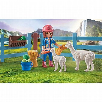 ���� ����� �� ������ ������ Playmobil 71353