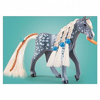 ���� ����� �� ������ ������ Playmobil 71353