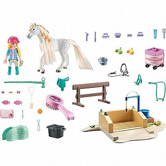 ���� ����� �� ������ ������ Playmobil 71354