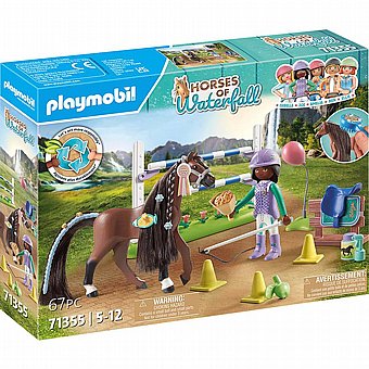 ���� ������ �� ���� ������ Playmobil 71355