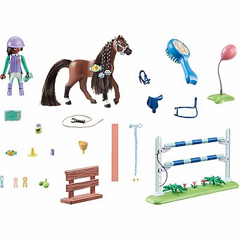 ���� ������ �� ���� ������ Playmobil 71355