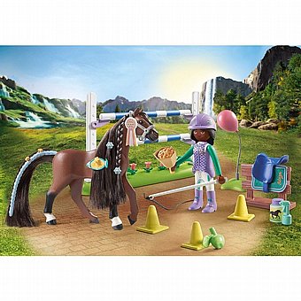 ���� ������ �� ���� ������ Playmobil 71355