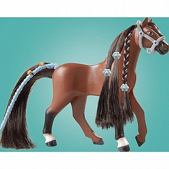 ���� ������ �� ���� ������ Playmobil 71355