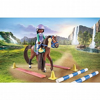 ���� ������ �� ���� ������ Playmobil 71355
