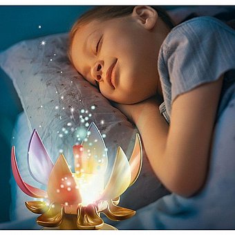 ���� ��� ���� Playmobil 71359