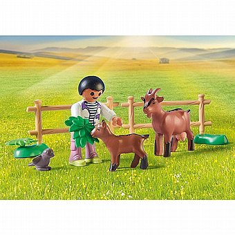 ������ �� ���� ����� ��� Playmobil 71442