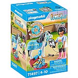 ���� ������ Playmobil 71497