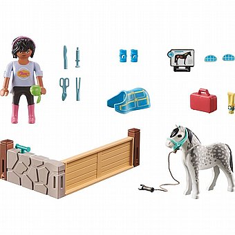 ���� ������ Playmobil 71497
