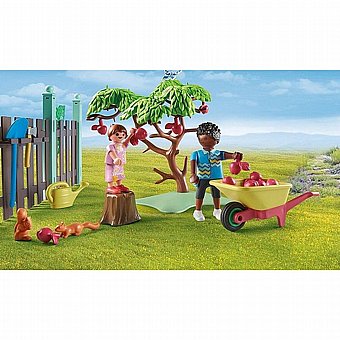 ���� �������� ���� Playmobil 71510