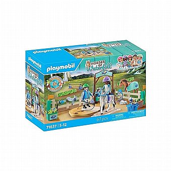 ��� ��� ������ ������ Playmobil 71637