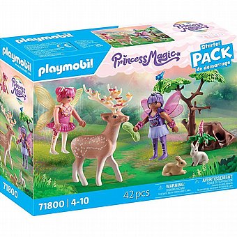 ����� ���� �� ���� ��� Playmobil 71800