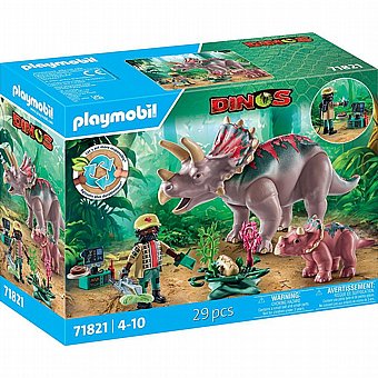 ����� ��������� Playmobil 71821