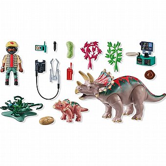 ����� ��������� Playmobil 71821