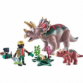 ����� ��������� Playmobil 71821