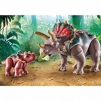 ����� ��������� Playmobil 71821