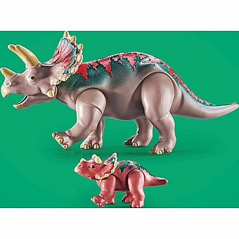 ����� ��������� Playmobil 71821