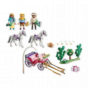����� ������ Playmobil 71846