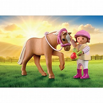 ���� �� ���� Playmobil 71887