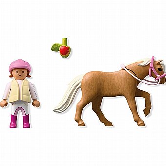 ���� �� ���� Playmobil 71887