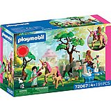 ��� �� ���� �� ���� Playmobil 72067