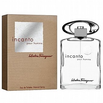���� ���� Salvatore Ferragamo Incanto Pour Homme Eau De Toilette  E.D.T 100 ml