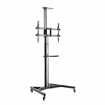 ���� ������� �� ������ Lumi TTV03-46TW