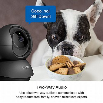 ����� ����� ������� TP-Link Pan / Tilt Tapo C211
