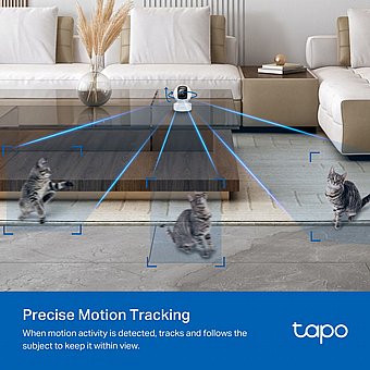 ����� ����� ������� TP-Link Pan / Tilt AI Tapo C222