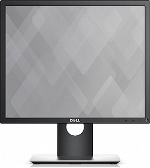 ��� ���� Dell Plus P1917S 19