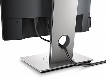 ��� ���� Dell Plus P1917S 19