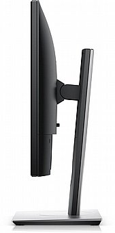 ��� ���� Dell Plus P1917S 19