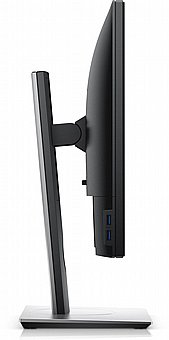 ��� ���� Dell Plus P1917S 19