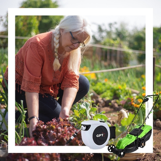 ��� �����